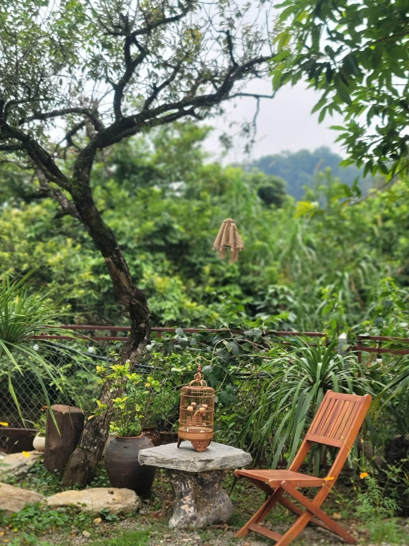 Suối đầu nguồn chảy quanh A Tủn Homestay, ghế nằm và bàn trà bên bờ (6/6)